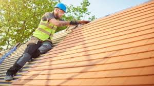 Best Roof Moss and Algae Removal  in Montpelier, ID